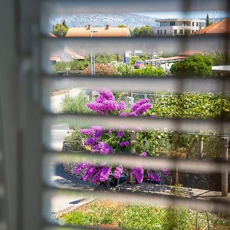 קורצולה Apartman Ana מראה חיצוני תמונה